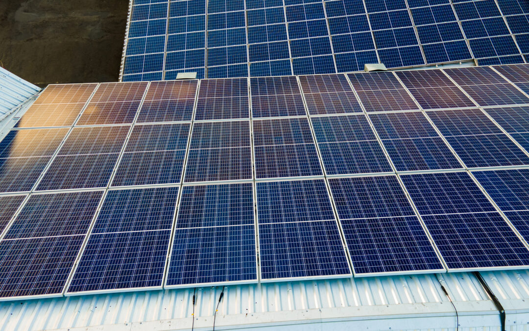 The Financial Benefits of Going Solar With Your Business